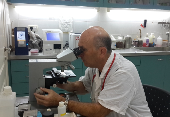 מגן דוד ירוק